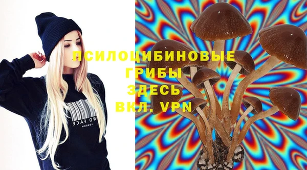 mdpv Арсеньев