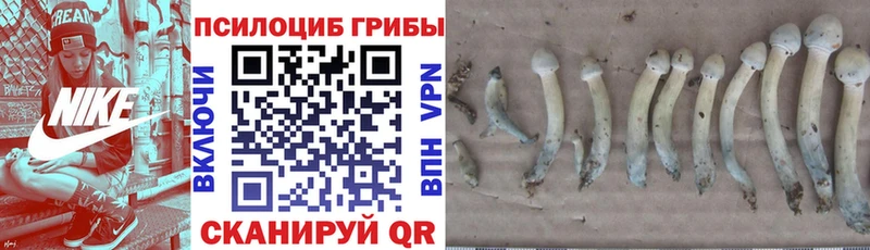 наркотики Покачи Галлюциногенные грибы Magic Shrooms
